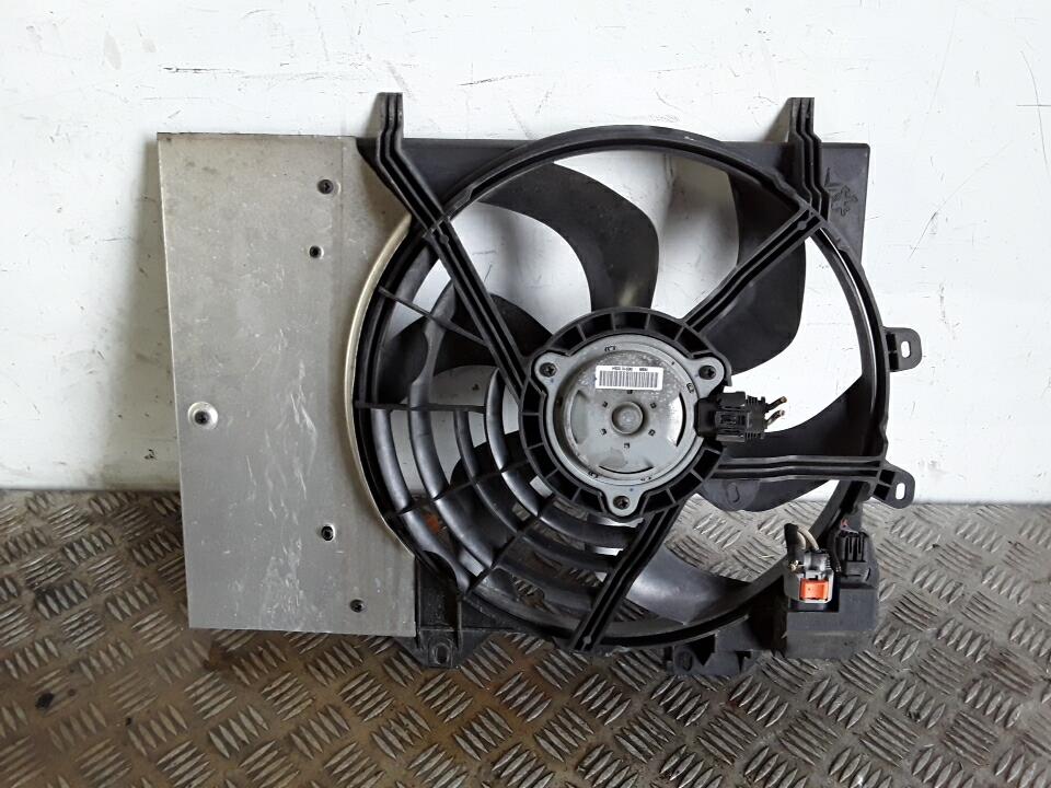 Buse CITROEN C3 2 PHASE 1 Diesel - 1