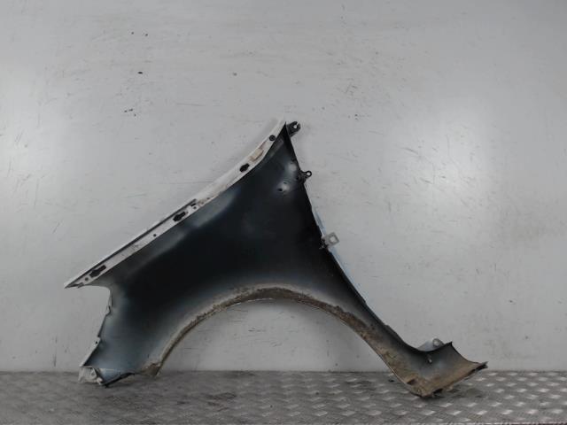 Parafango anteriore destro RENAULT CLIO 3 PHASE 1 Diésel - 1