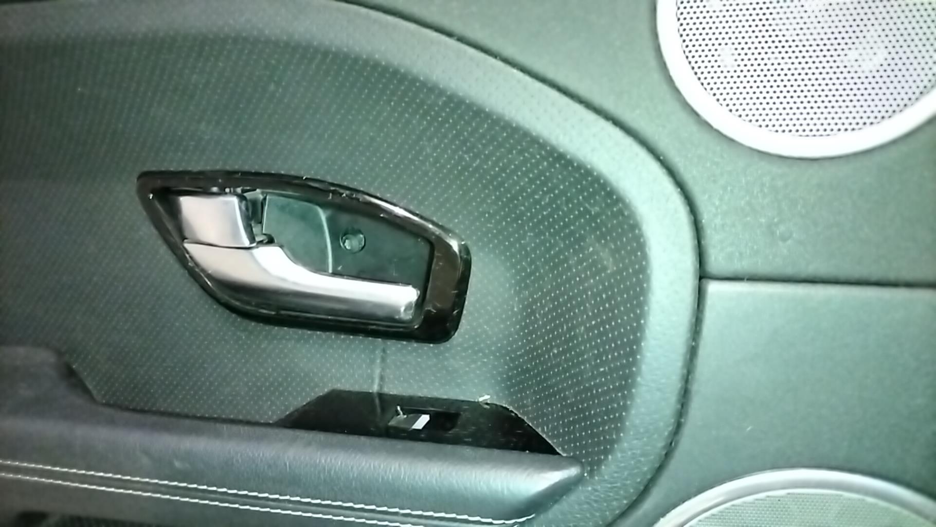 Pannello portiera posteriore sinistro LAND ROVER RANGE ROVER 1 EVOQUE PHASE 1 Diésel - 1