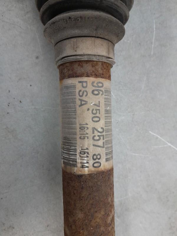 Giunto cardanico albero di trasmissione destro CITROEN C4 GRAND PICASSO 2 PHASE 1 Diésel - 1