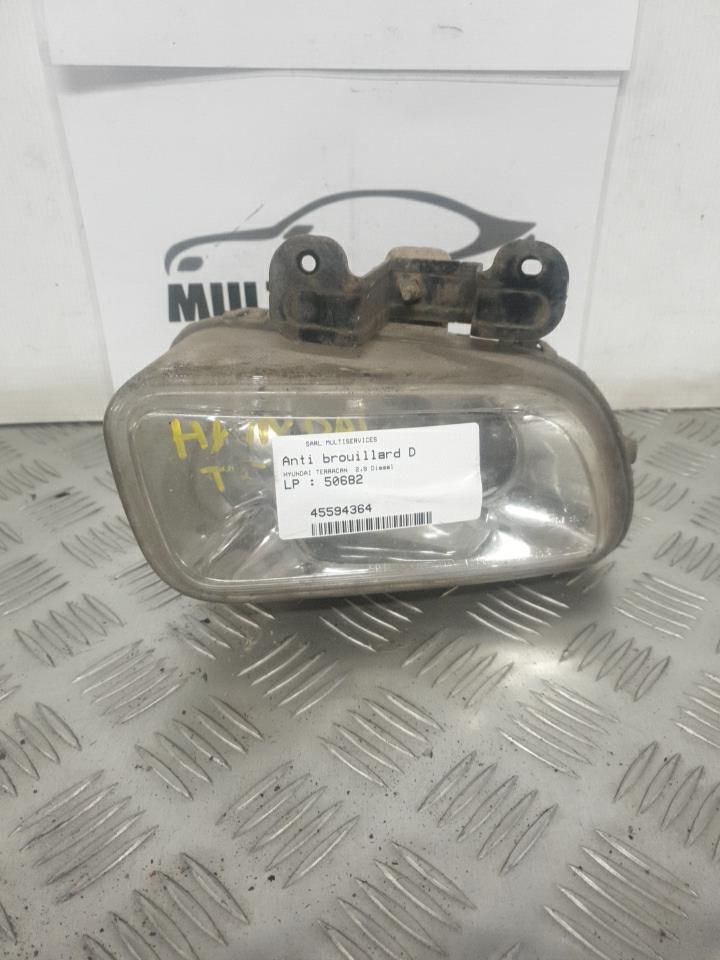 Fendinebbia destro (luci) HYUNDAI TERRACAN Diésel - 1