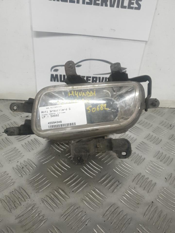 Fendinebbia sinistro (luce) HYUNDAI TERRACAN Diésel - 1