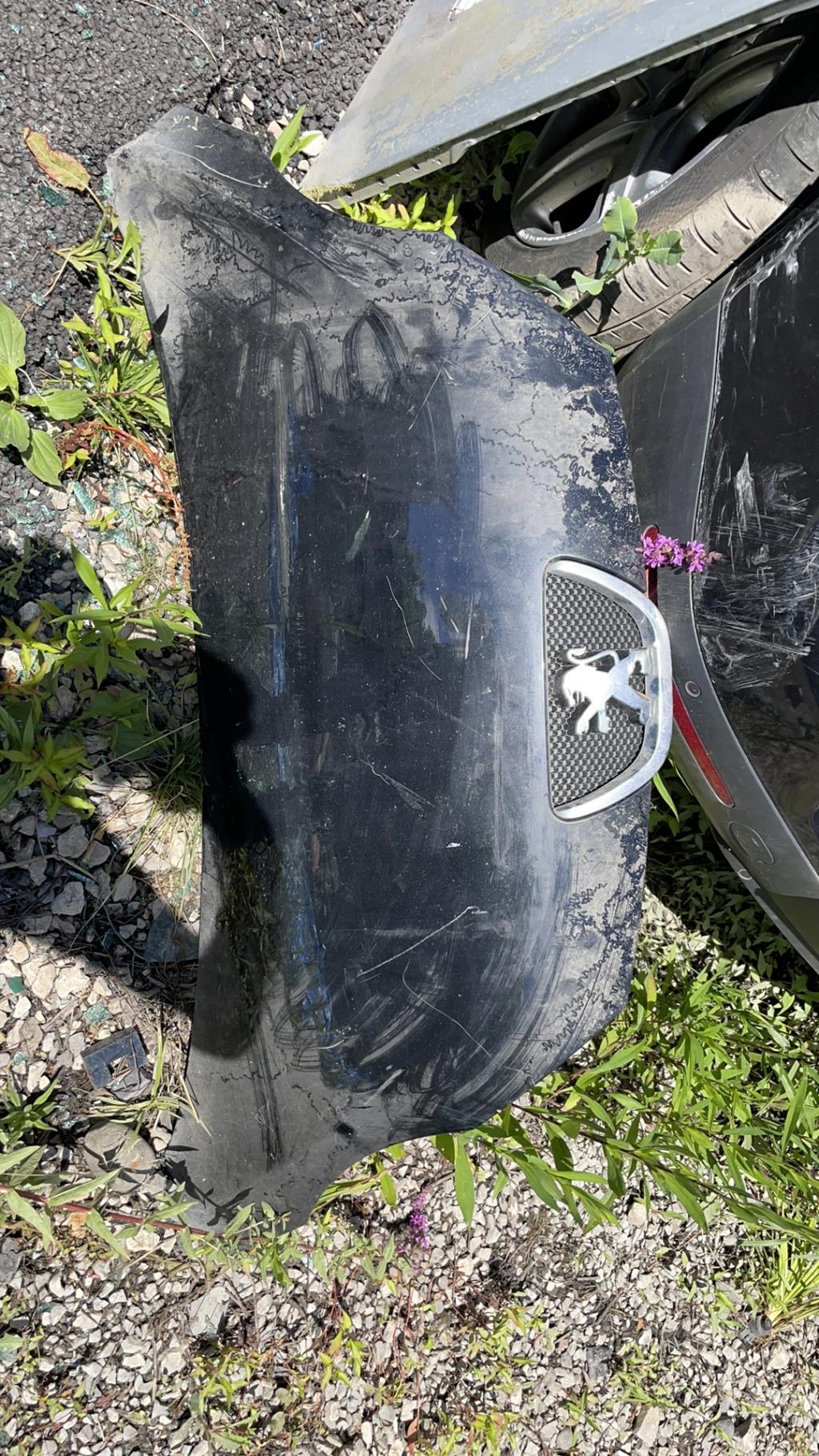 Capot PEUGEOT 107 PHASE 2 Essence - 1