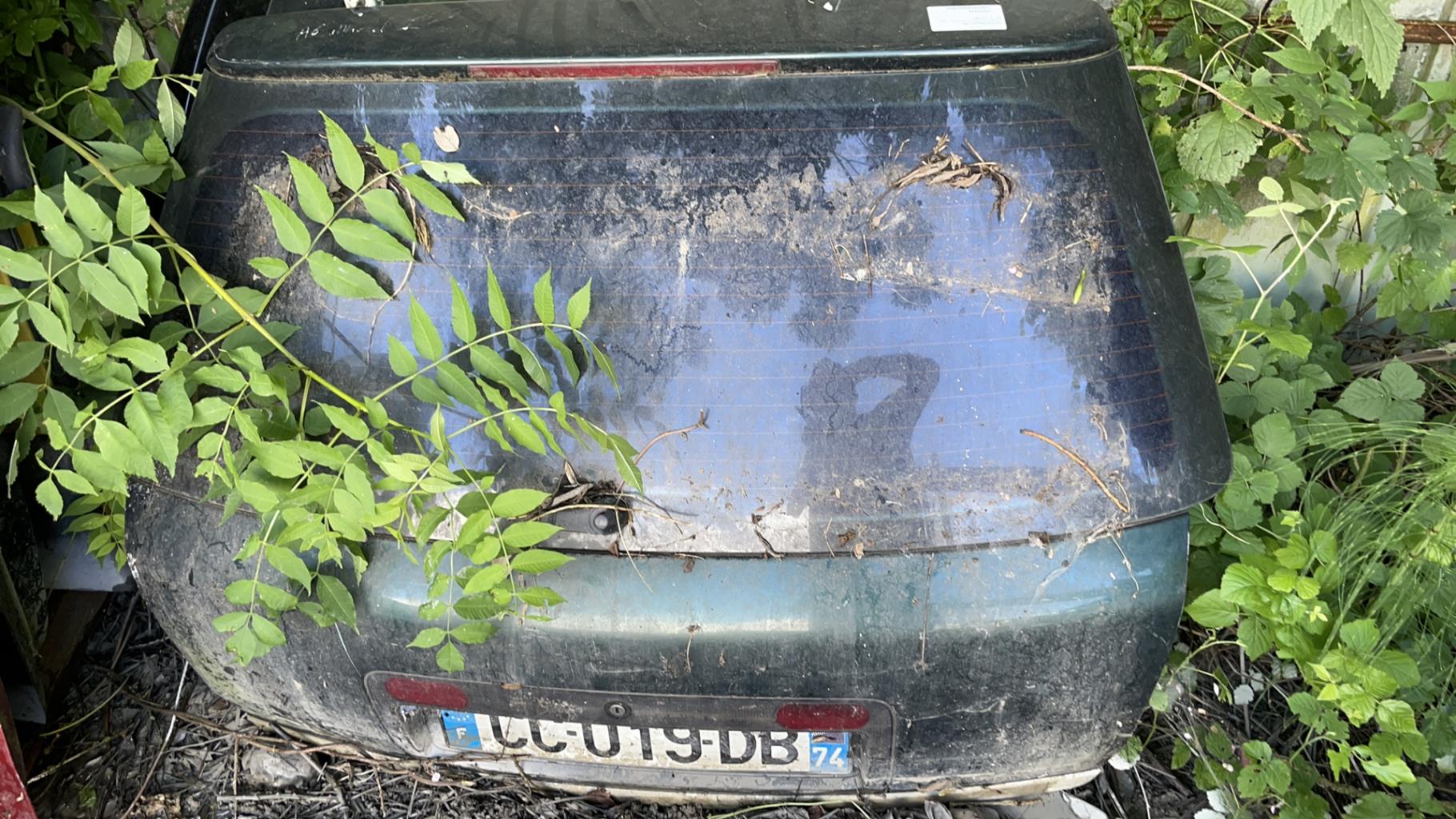 Malle/Hayon arriere AUDI A6 2 AVANT PHASE 1 BREAK Diesel - 1