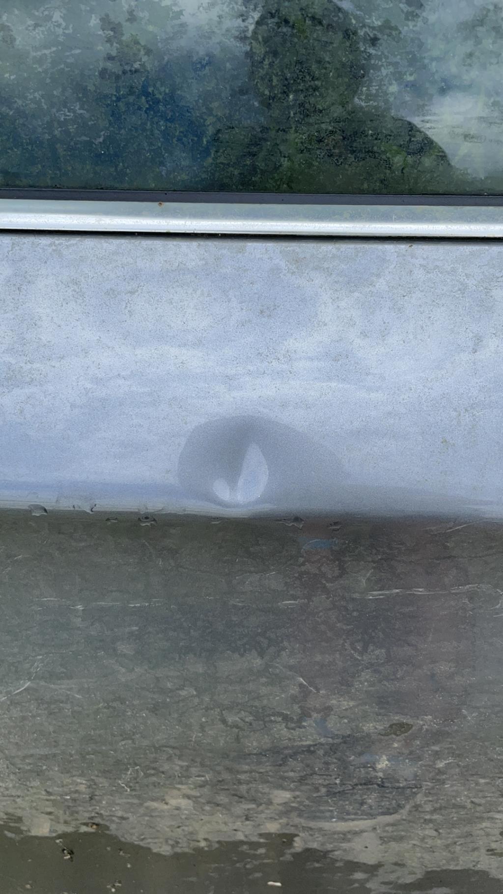 Portiera anteriore destra BMW SERIE 1 E81 Diésel - 1
