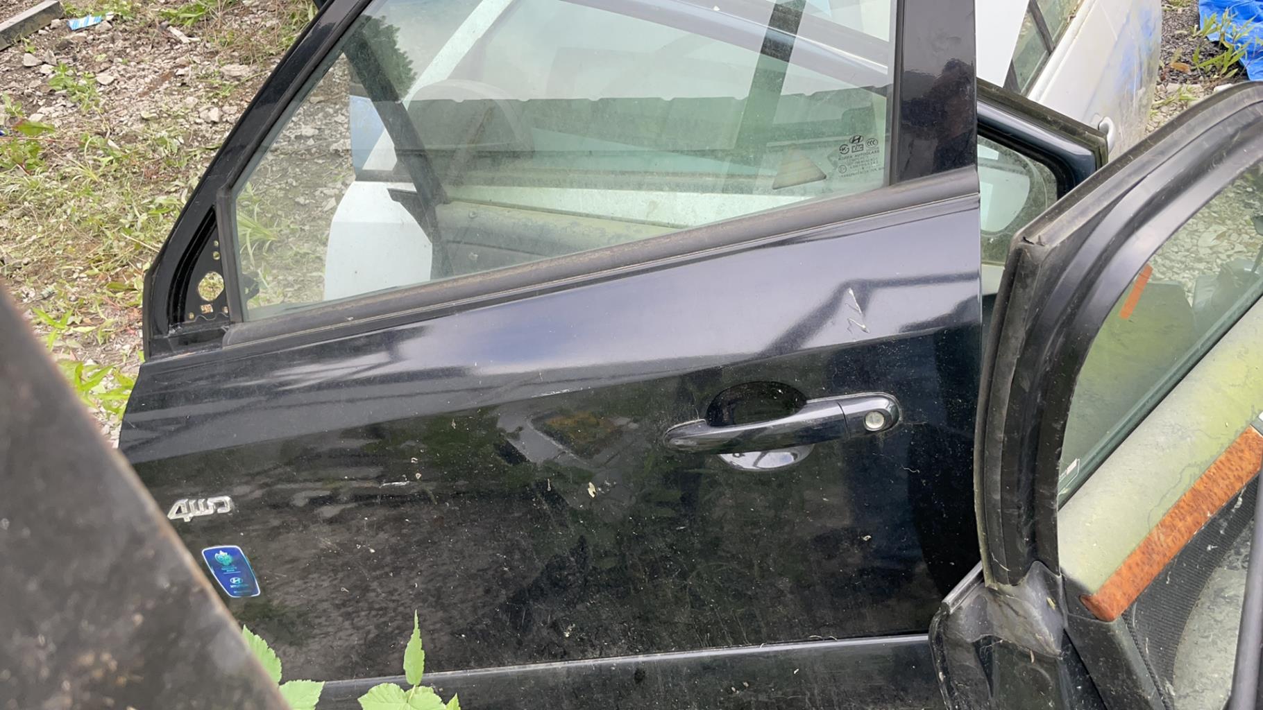 Portiera anteriore sinistra HYUNDAI TUCSON 1 Diésel - 1