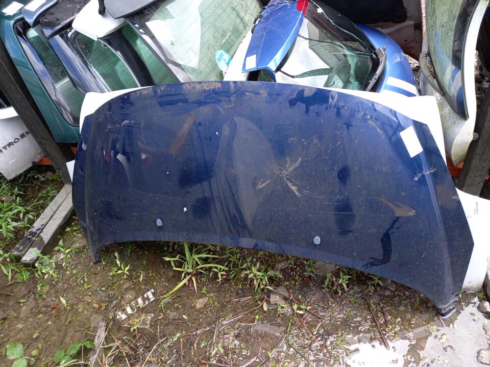 Capot PEUGEOT 207 PHASE 1 Diesel - 1
