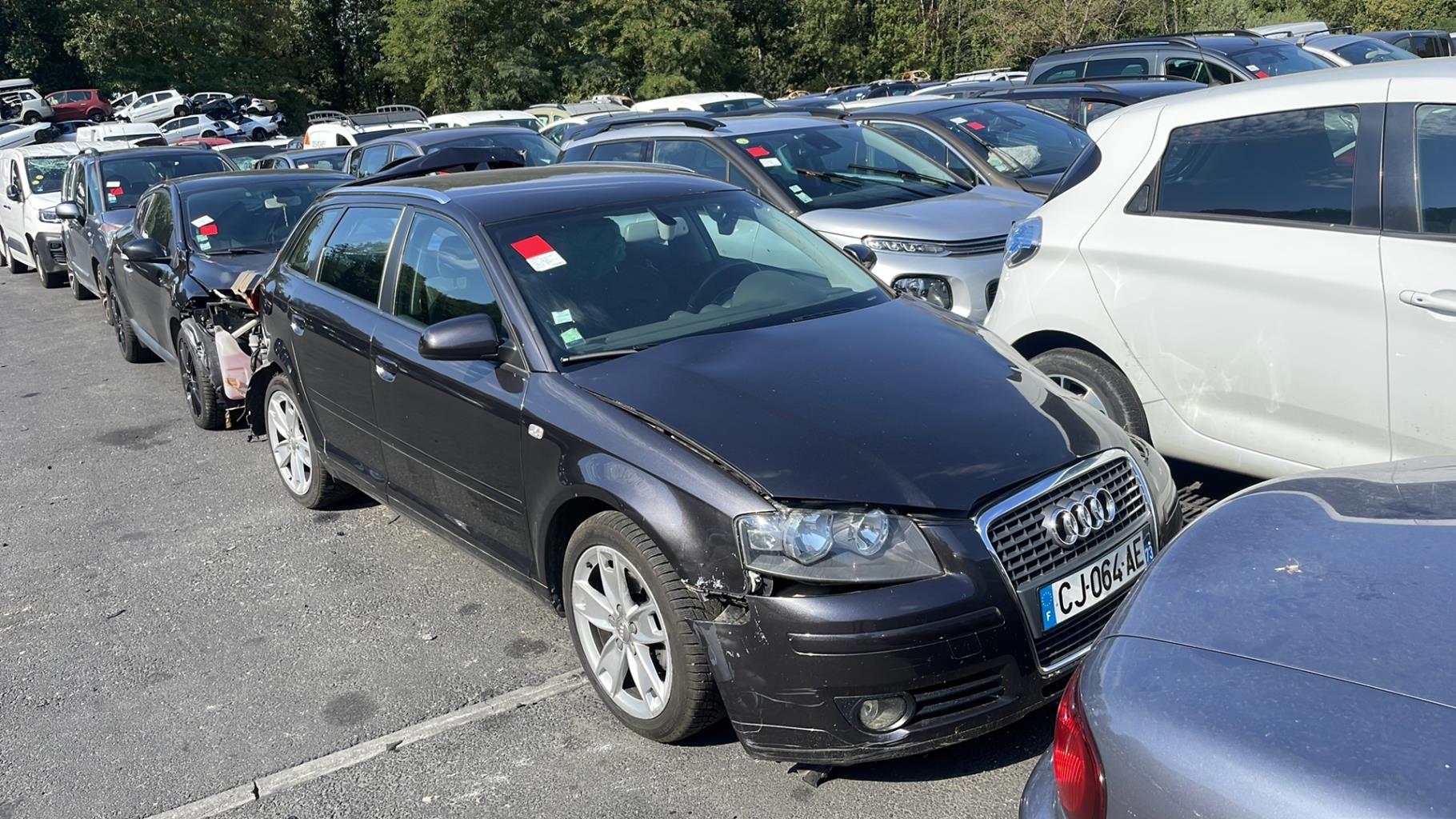 Portiera anteriore sinistra AUDI A3 2 SPORTBACK PHASE 1 Diésel - 1