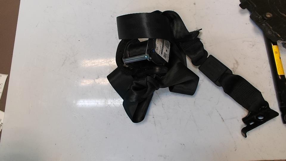 Cintura posteriore centrale FIAT PANDA CROSS 3 Gasolina - 1