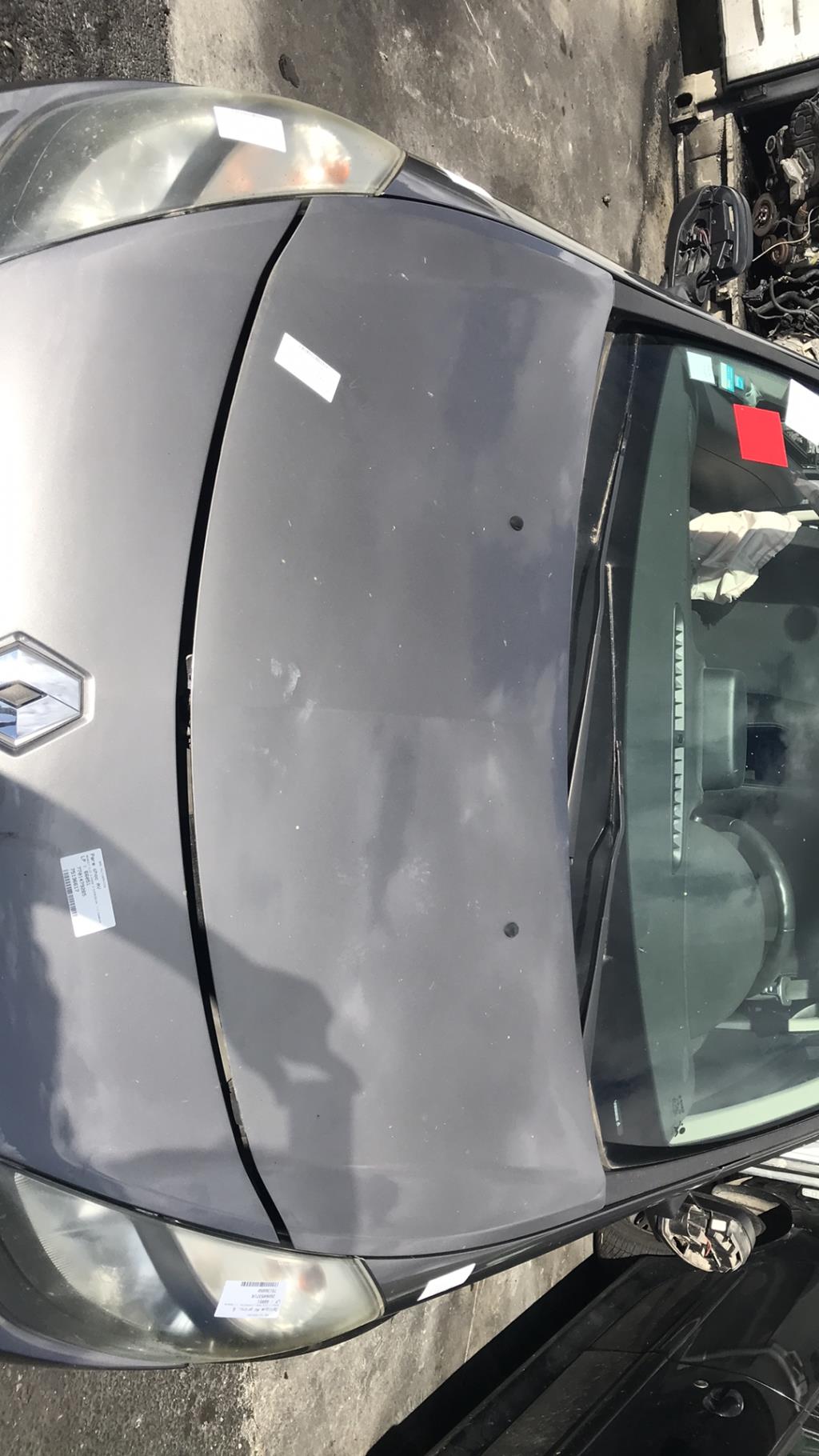 Capot RENAULT CLIO 3 PHASE 2 Essence - 1