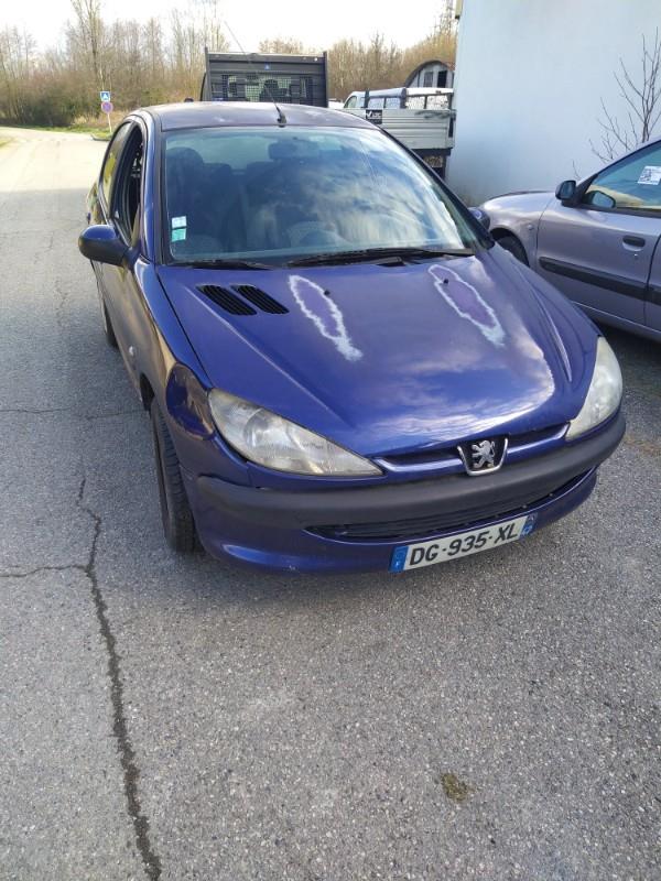 Parasale anteriore destro PEUGEOT 206 PHASE 2 Diésel - 1