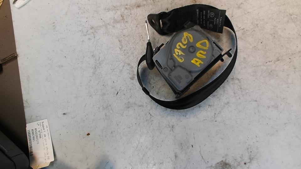 Cintura di sicurezza posteriore destra RENAULT CAPTUR 1 PHASE 1 Gasolina - 1