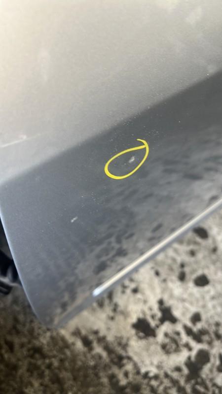 Portiera anteriore sinistra VOLKSWAGEN GOLF PLUS PHASE 1 Diésel - 1