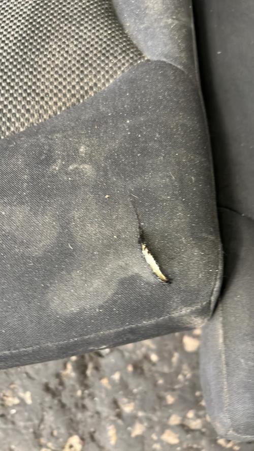 Photo de la pièce