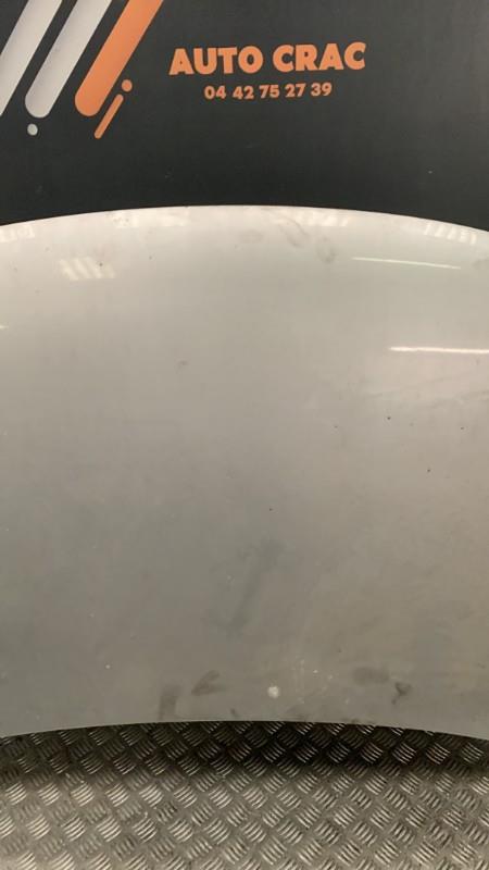 Capot DANGEL BERLINGO 1 PHASE 2  - 1