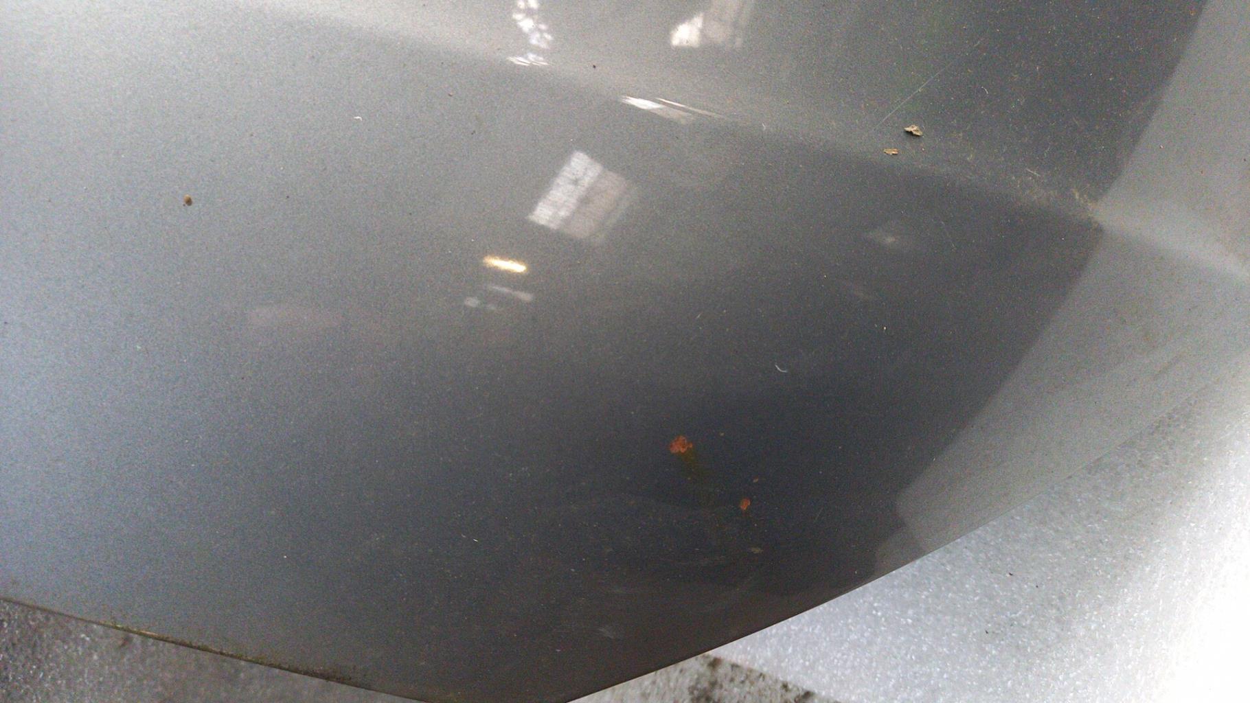 Capot VOLKSWAGEN PASSAT 5 BREAK Diesel - 1