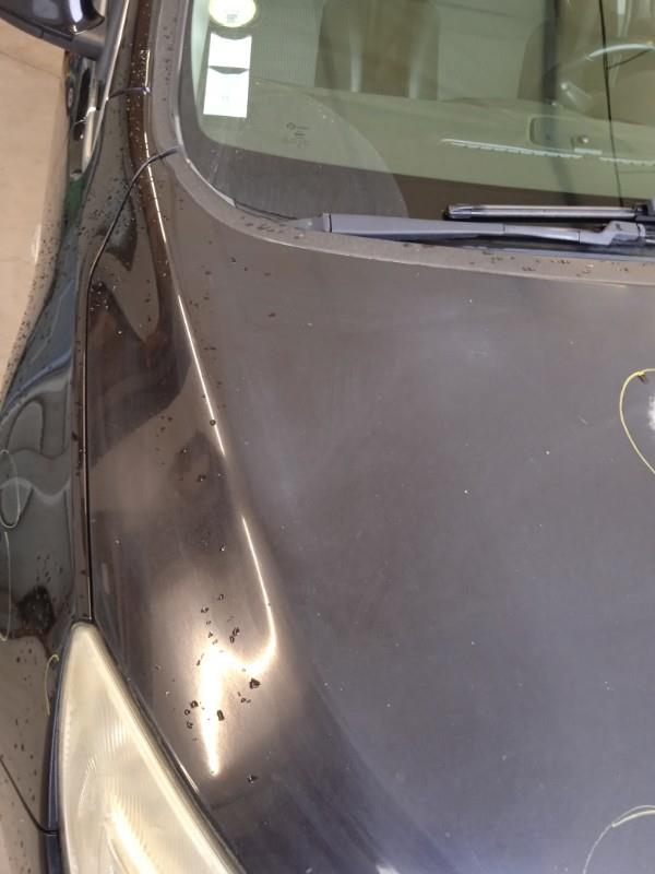 Capot OPEL ASTRA J PHASE 1 Diesel - 1