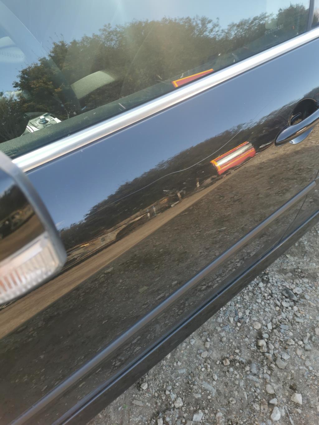 Porte avant gauche RENAULT LAGUNA 3 PHASE 1 Diesel - 1
