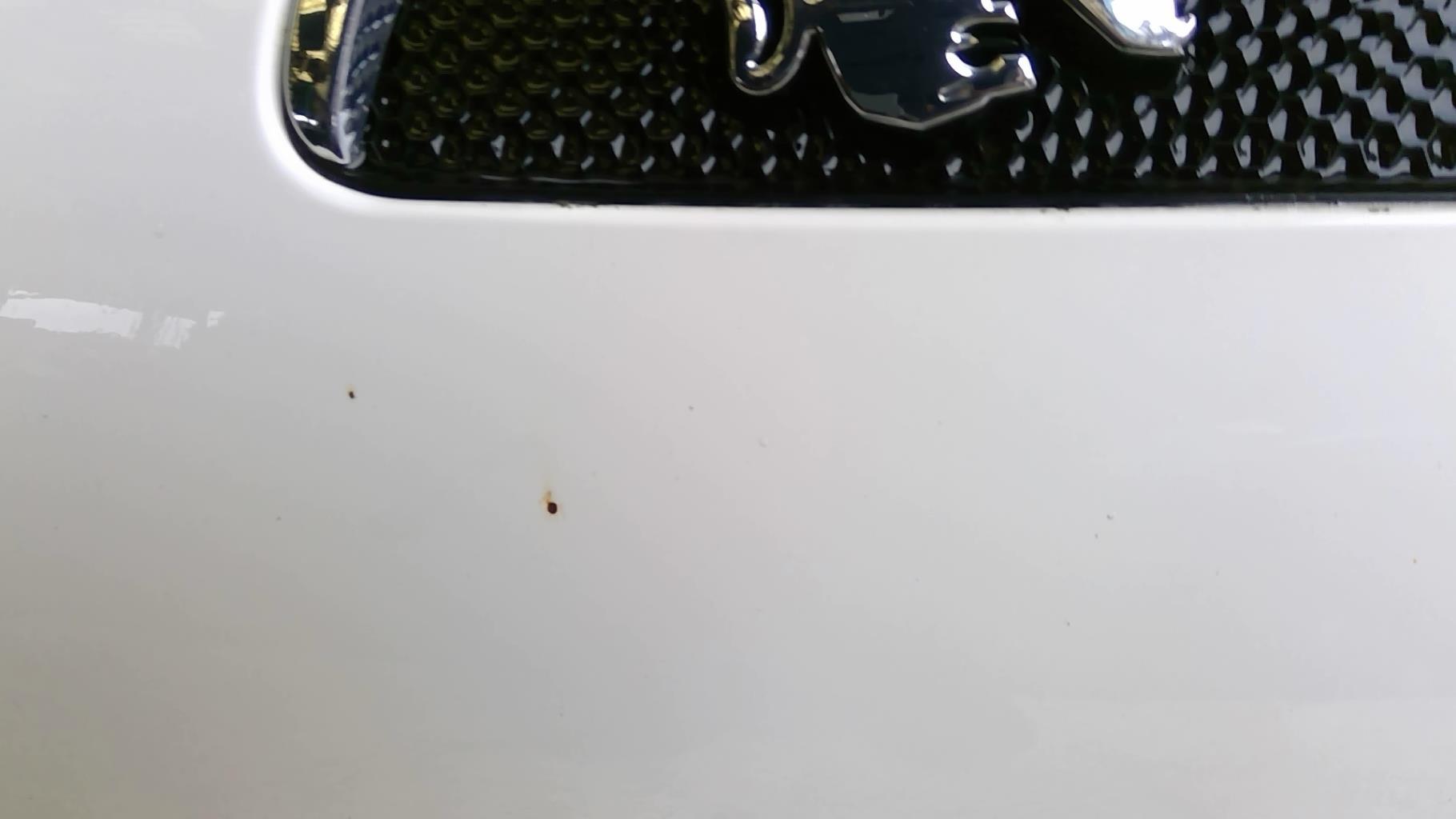 Capot PEUGEOT 107 PHASE 1 Diesel - 1