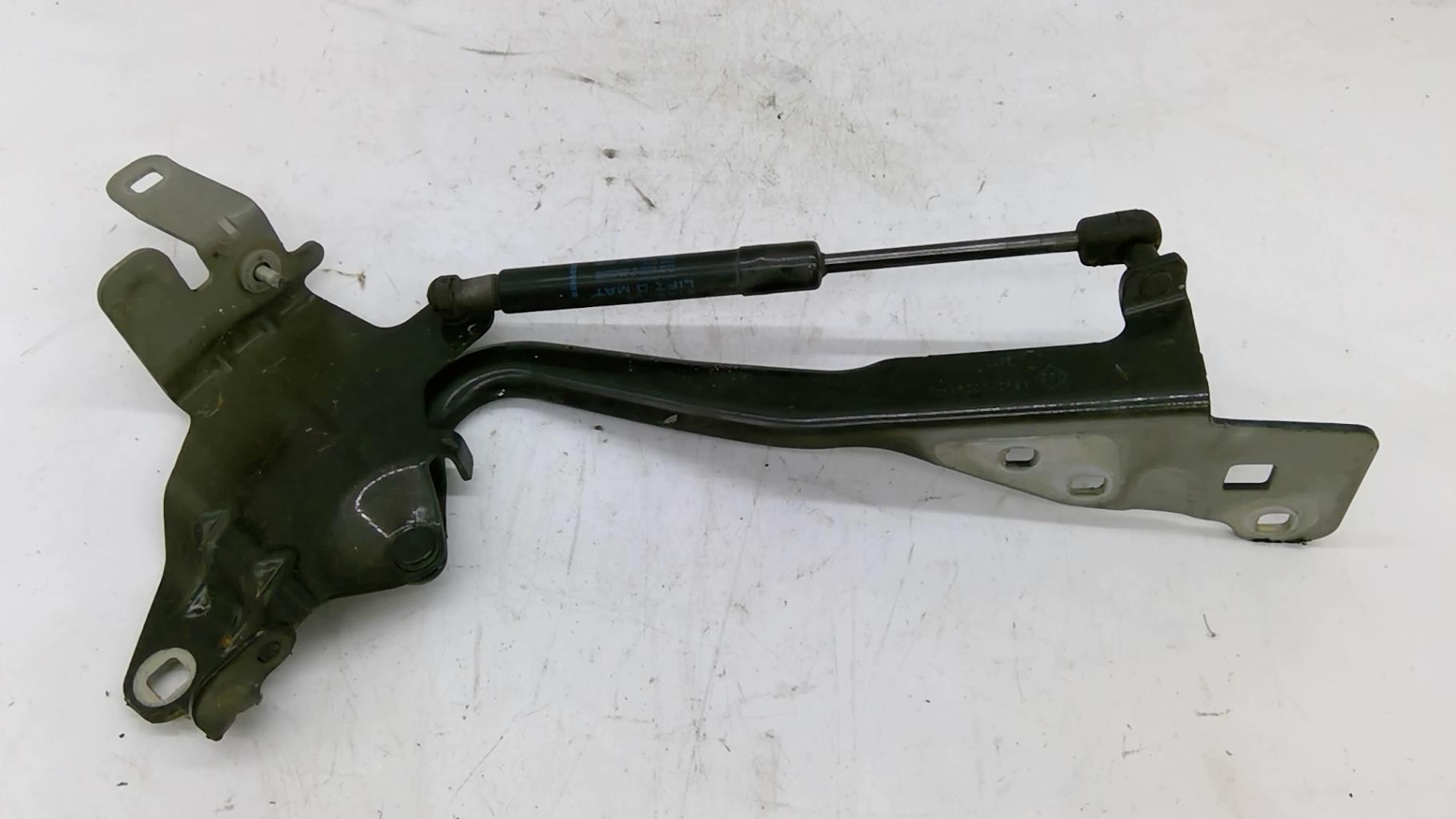 Charniere de capot RENAULT SCENIC 3 PHASE 1 Diesel - 1