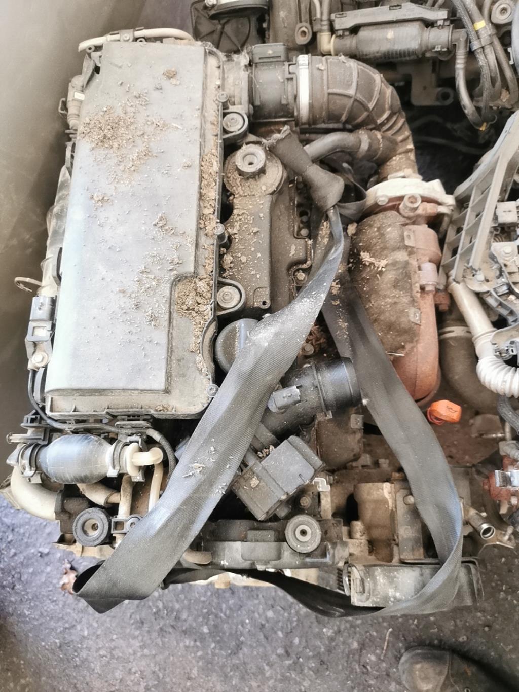 Moteur CITROEN NEMO Diesel - 1