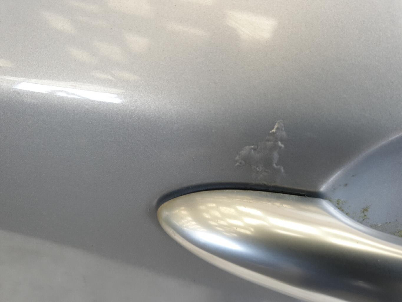 Porte avant gauche RENAULT VEL SATIS PHASE 1  - 1