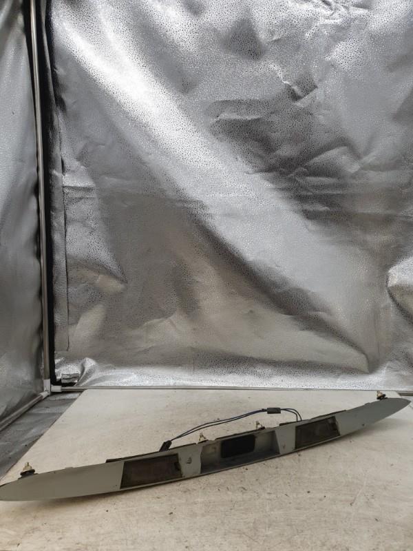 Eclairage de plaque RENAULT SCENIC 1 PHASE 2 Diesel - 1