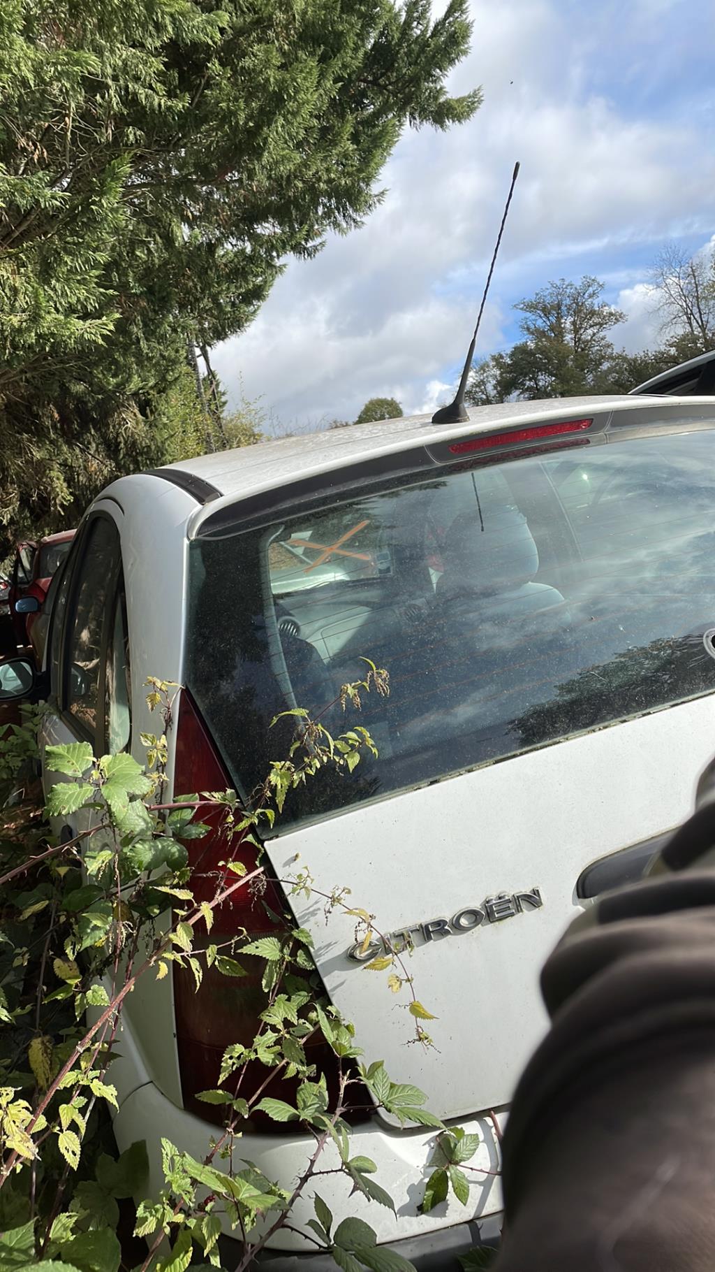 Cofano CITROEN C3 1 PHASE 1 Diésel - 1