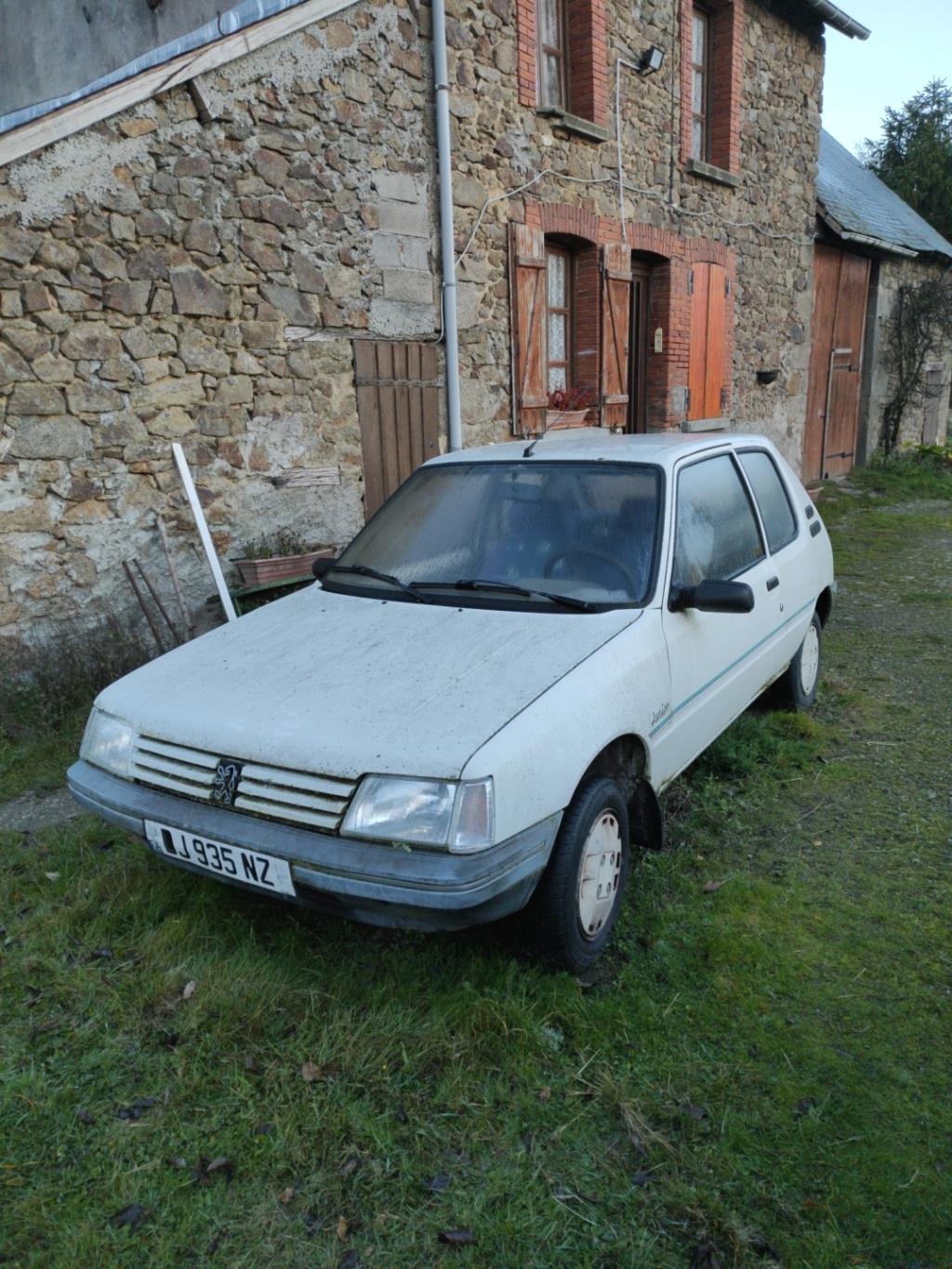 Motore tergicristallo posteriore PEUGEOT 205 PHASE 2 Gasolina - 1