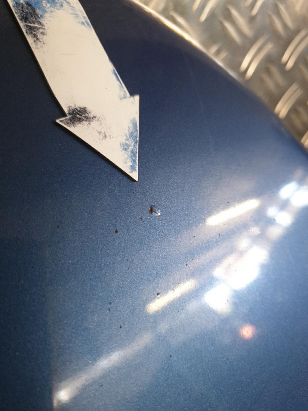 Capot VOLKSWAGEN NEW BEETLE 1 PHASE 1 Essence - 1