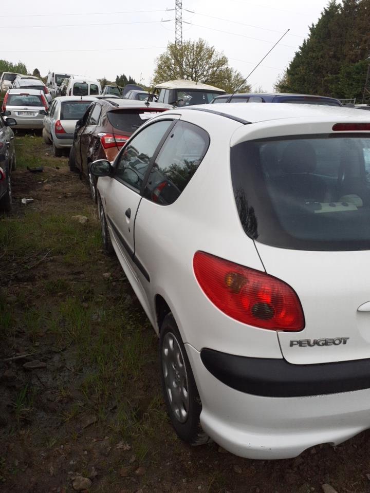 Braccio tergicristallo anteriore PEUGEOT 206 PHASE 2 Gasolina - 1