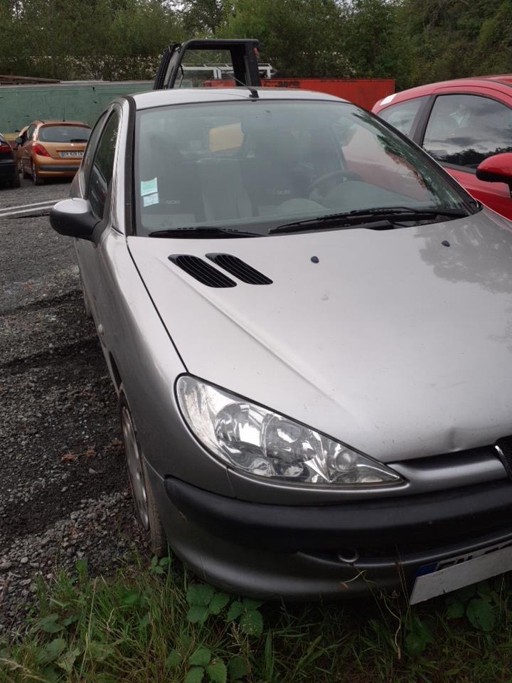 Retronebbia PEUGEOT 206 PHASE 2 Gasolina - 1