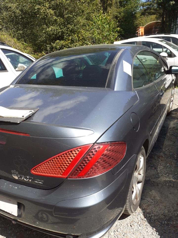 Portabagagli/Portellone posteriore PEUGEOT 307 PHASE 2 CABRIOLET Diésel - 1