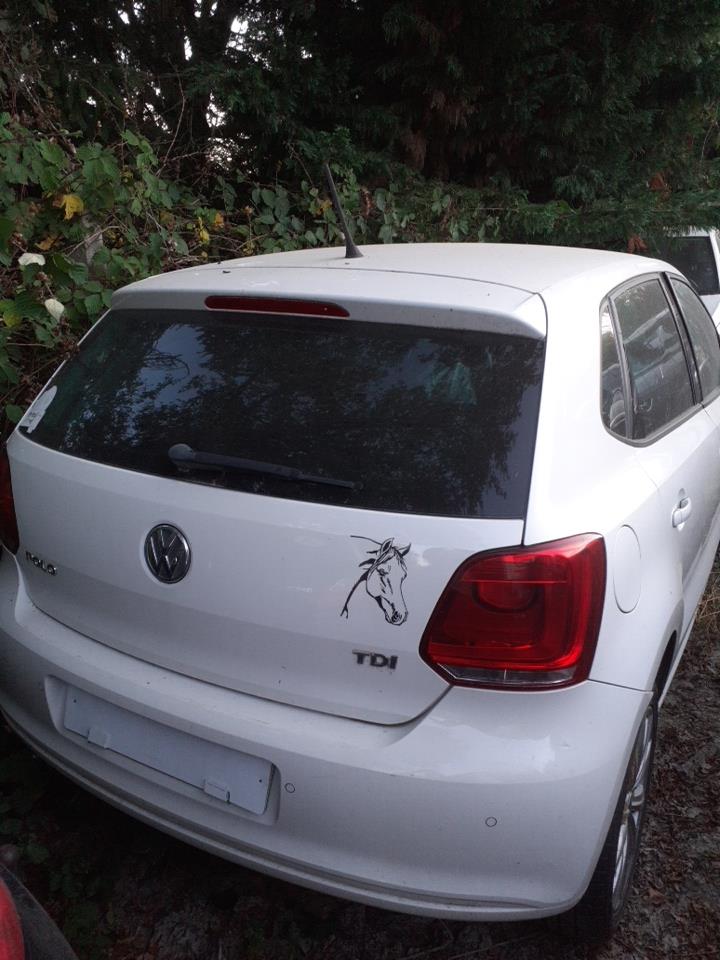 Triangolo inferiore anteriore sinistro VOLKSWAGEN POLO 5 PHASE 1 Diésel - 1