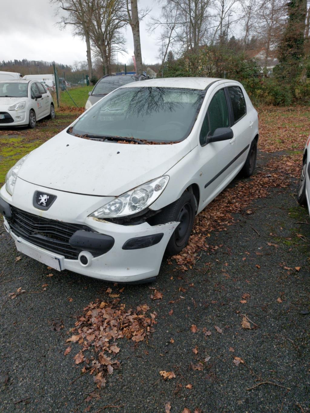 Molla a gas bagagliaio PEUGEOT 307 PHASE 1 Diésel - 1