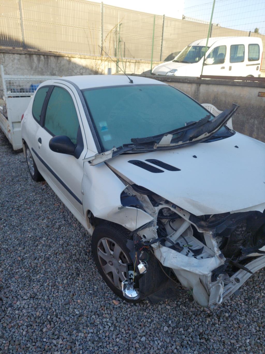 Molla a gas bagagliaio PEUGEOT 206+ Diésel - 1