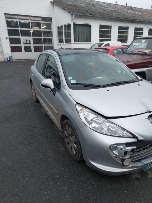 Portiera posteriore sinistra PEUGEOT 207 PHASE 1 Diésel - 1