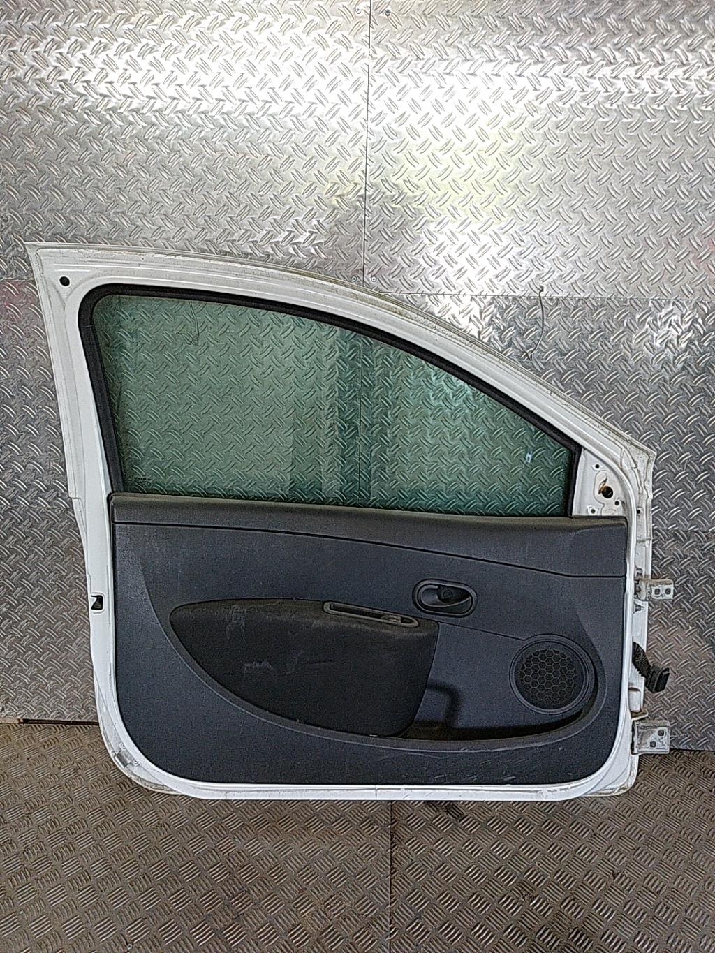 Portiera anteriore sinistra RENAULT CLIO 3 PHASE 1 Diésel - 1