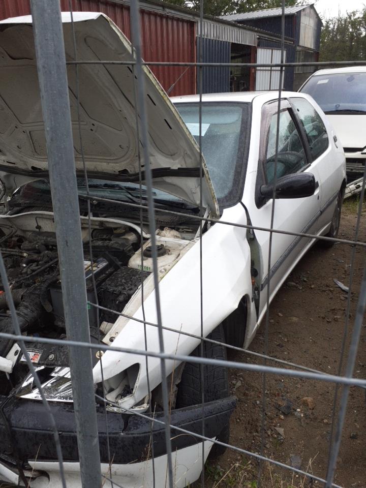 Maniglia interna anteriore sinistra PEUGEOT 306 PHASE 1 Gasolina - 1
