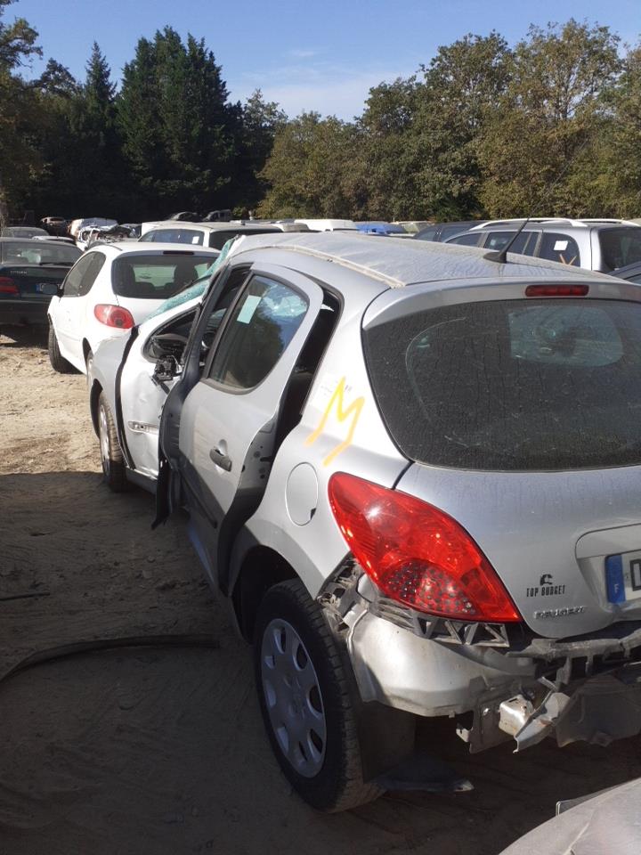 Motore PEUGEOT 207 PHASE 1 Diésel - 1