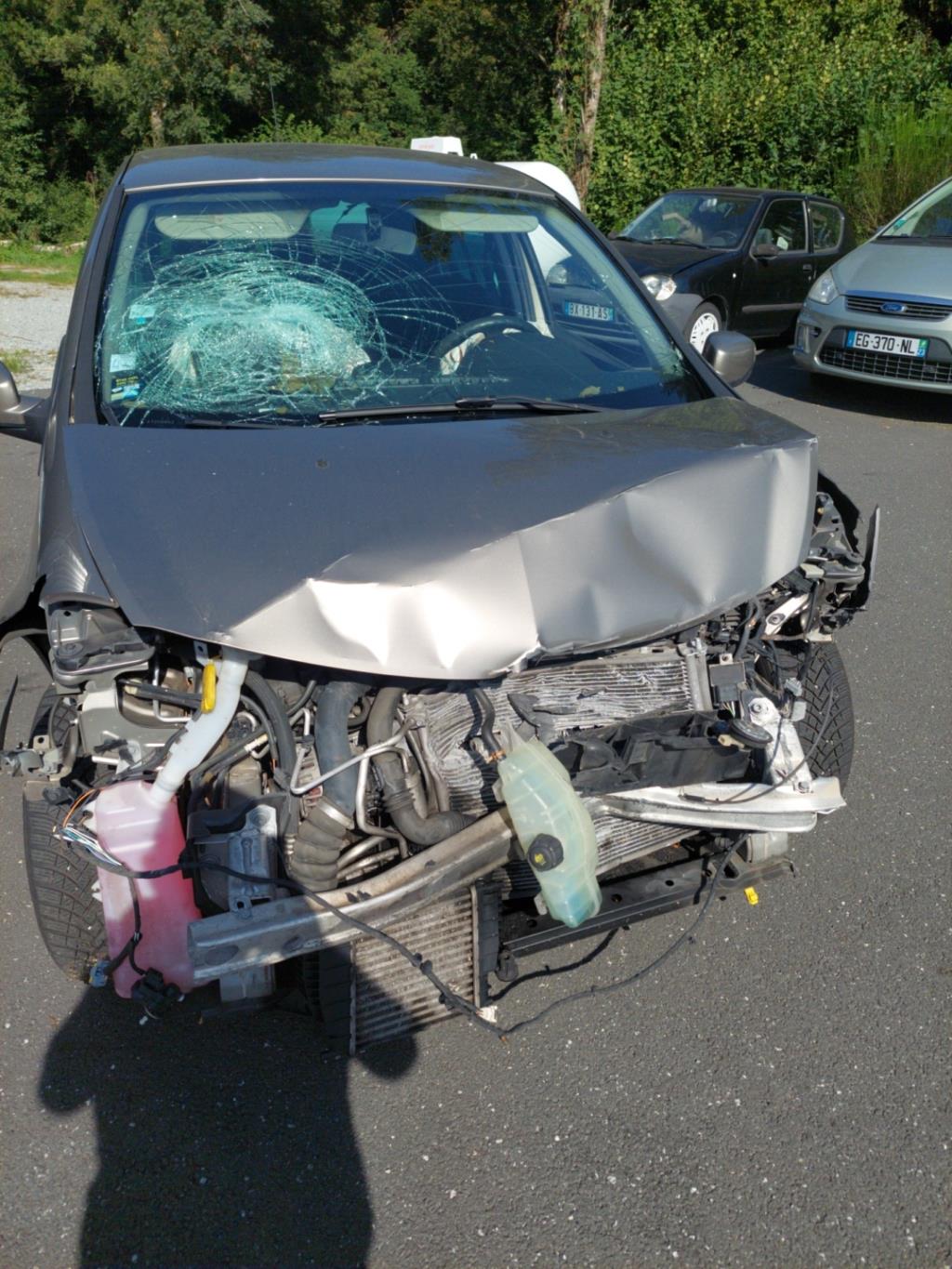Serratura anteriore sinistra RENAULT CLIO 3 PHASE 1 Diésel - 1