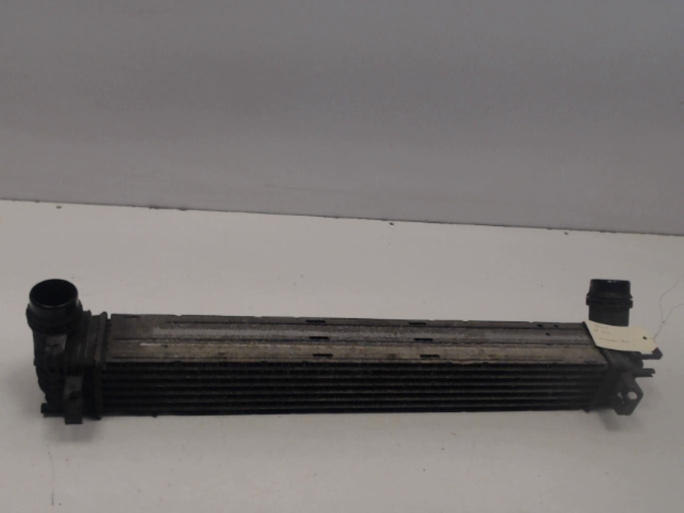 Scambiatore aria (Intercooler) RENAULT GRAND SCENIC 3 PHASE 1 Diésel - 1