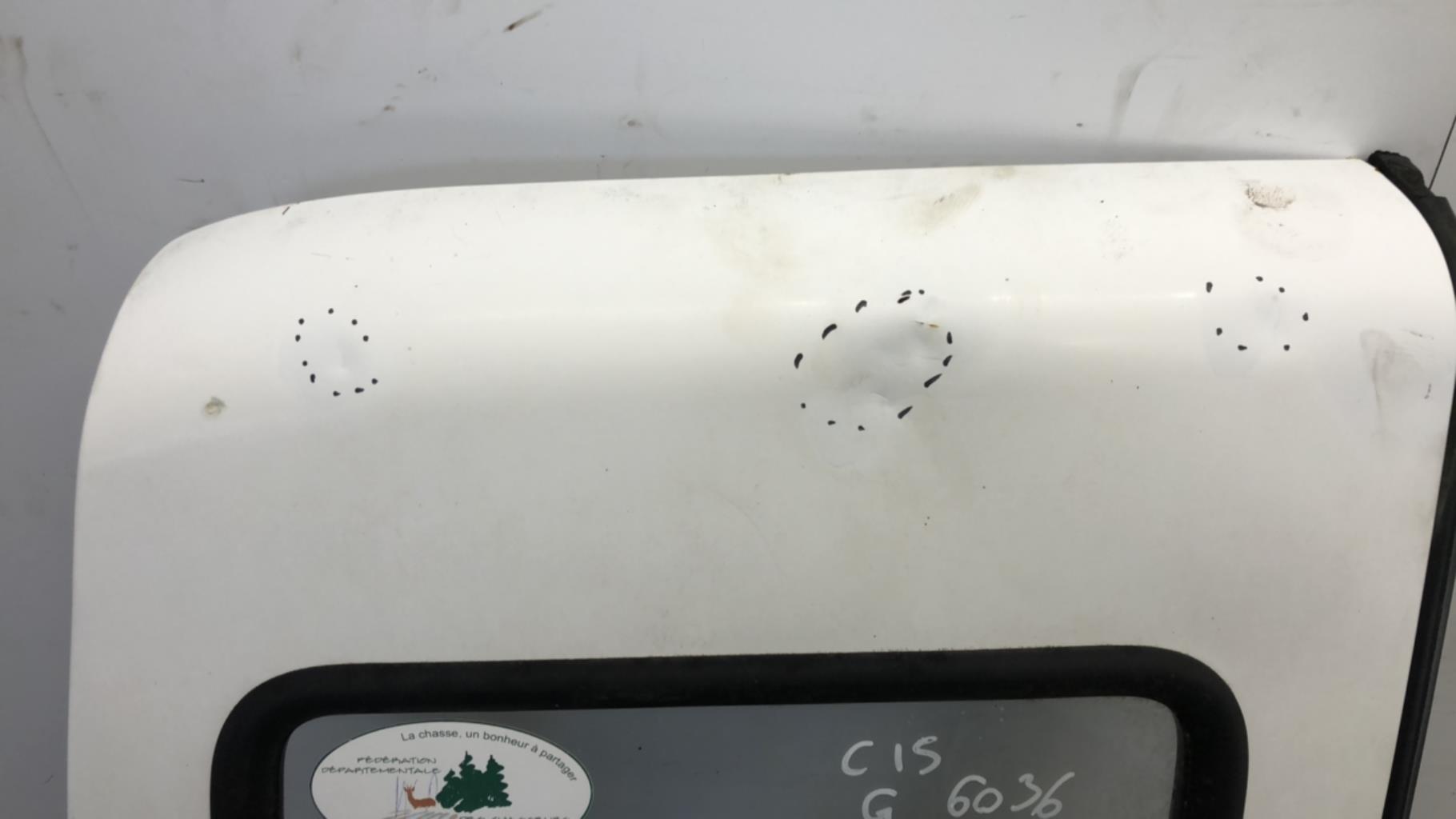 Porte de coffre gauche CITROEN C15 Diesel - 1
