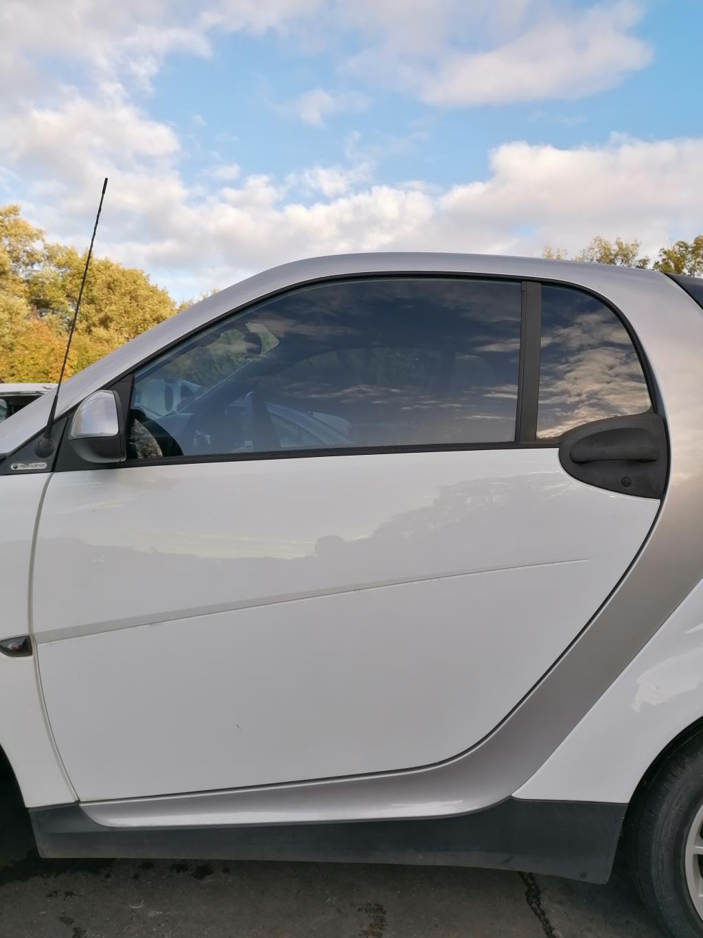 Porte avant gauche SMART FORTWO 2 COUPE Diesel - 1