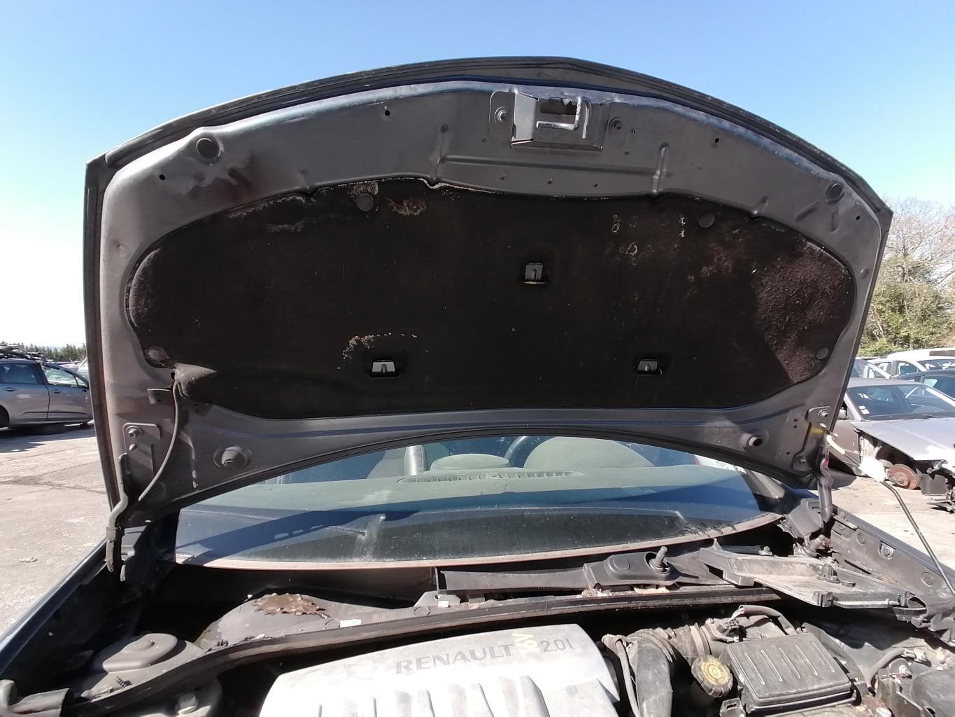 Capot RENAULT CLIO 3 PHASE 1 Essence - 1