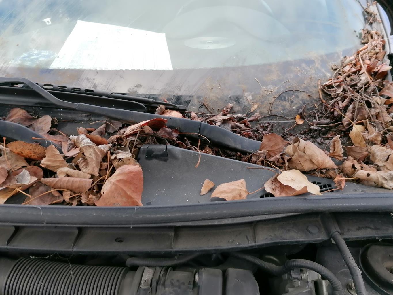 Motore tergicristallo anteriore sinistro NISSAN JUKE 1 PHASE 1 Diésel - 1