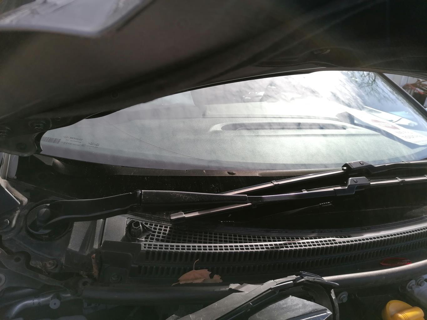 Braccio tergicristallo anteriore destro RENAULT SCENIC 4 Gasolina - 1