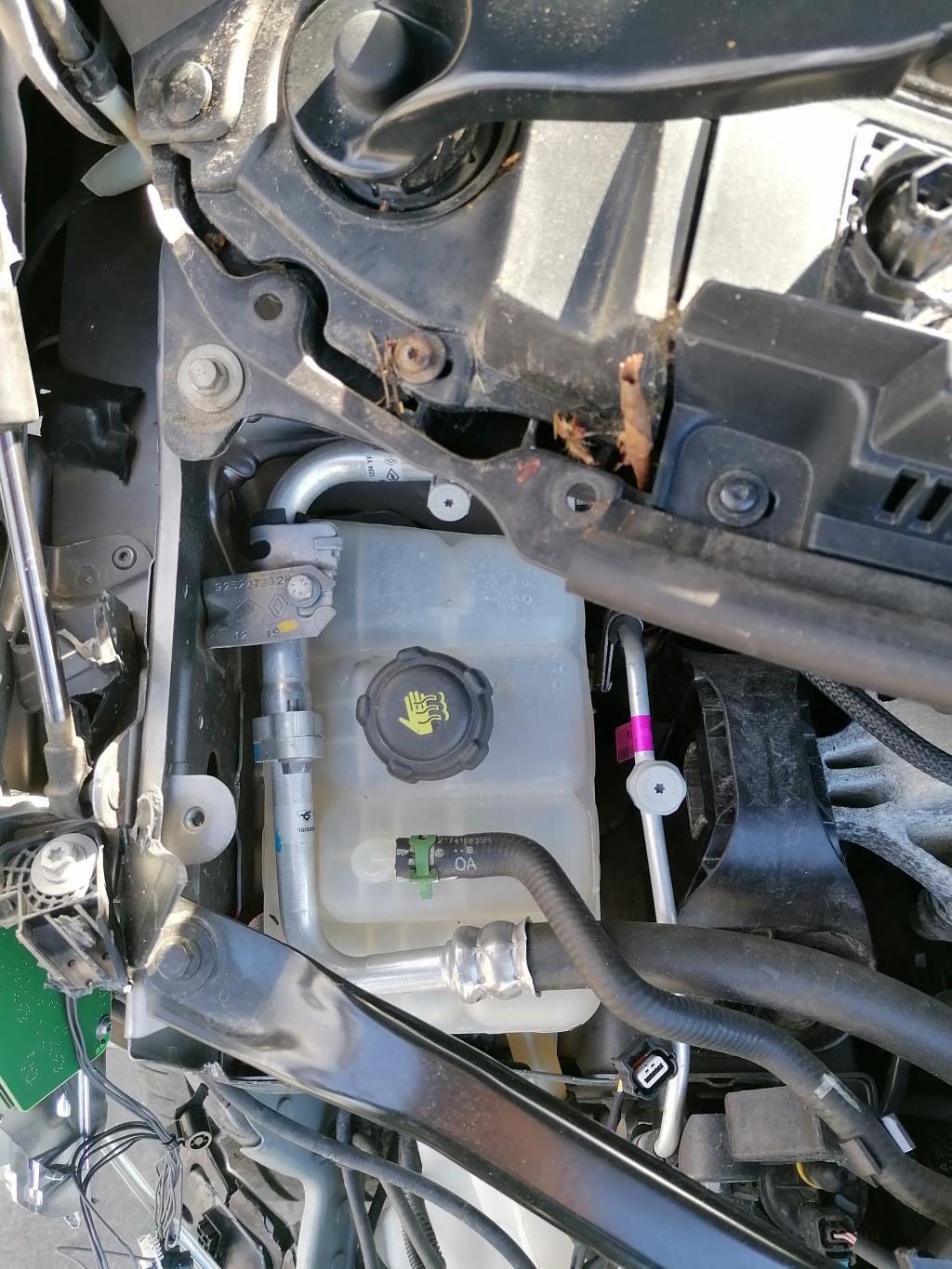 Vaso di espansione RENAULT SCENIC 4 Gasolina - 1