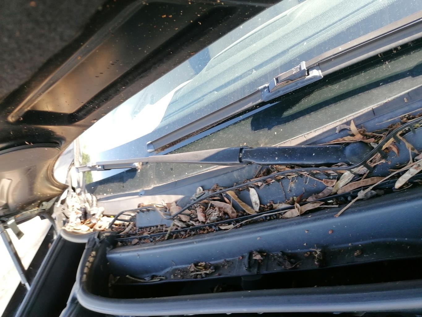 Braccio tergicristallo anteriore destro BMW X3 E83 PHASE 1 Diésel - 1