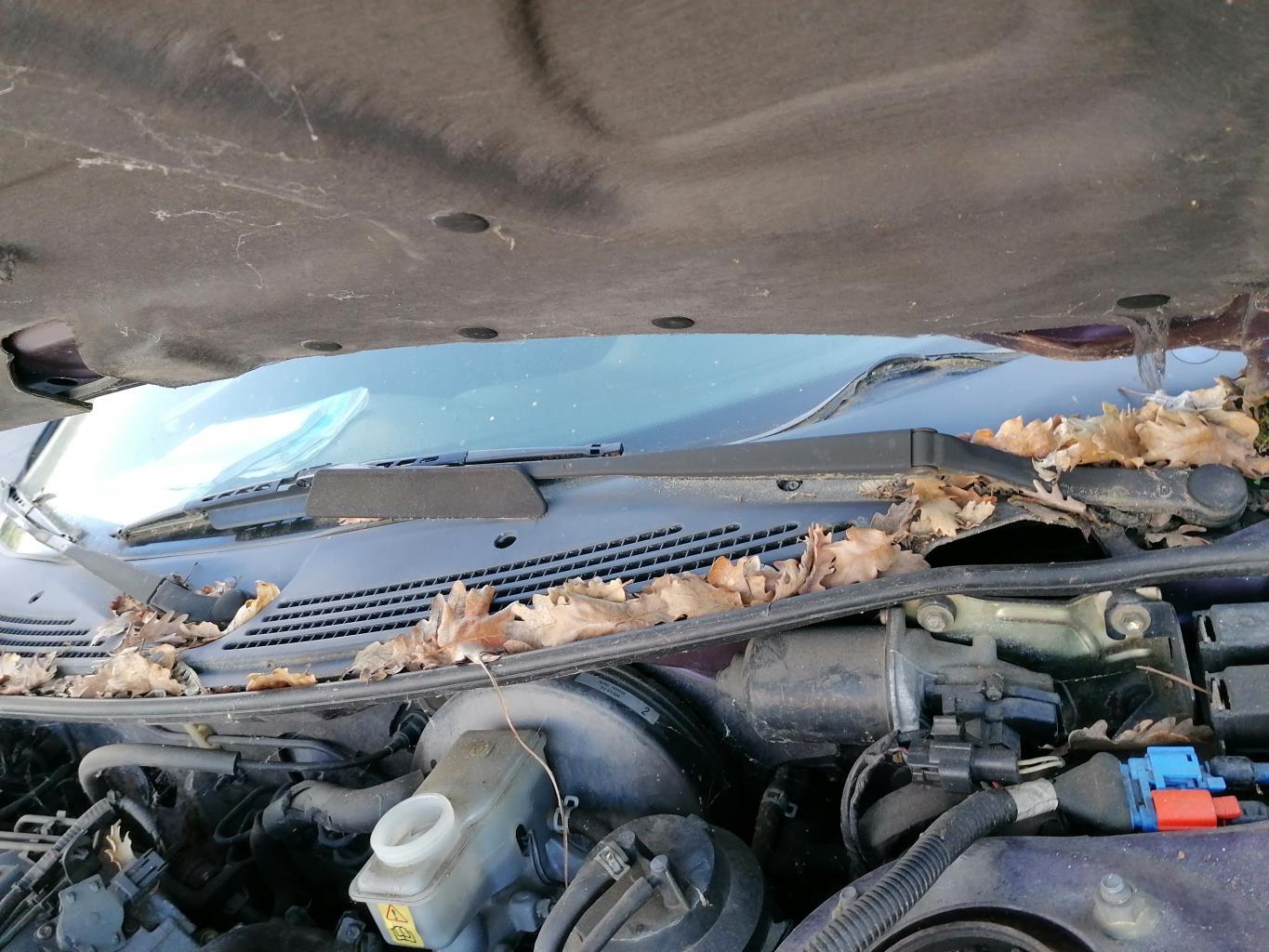 Braccio tergicristallo anteriore sinistro FORD PROBE COUPE Gasolina - 1